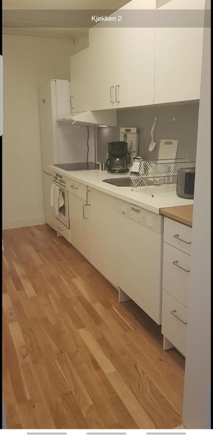 Apartament Blue House Brevik Porsgrunn Zewnętrze zdjęcie